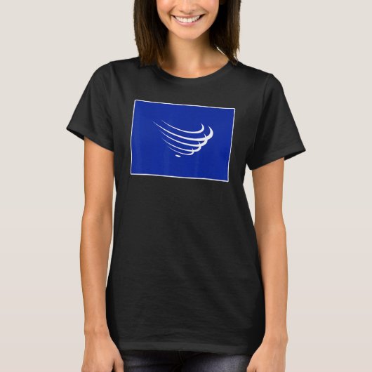 Unrepresented Nations and Peoples Organization  Fl Tシャツ (正面)