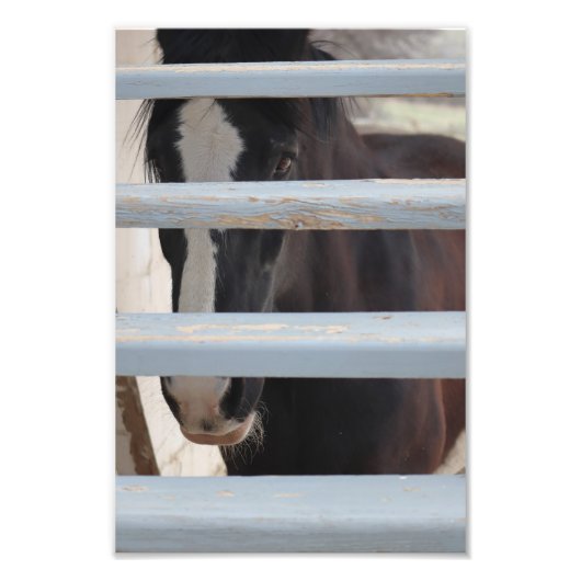 Unspoken Bond フォトプリント (正面)