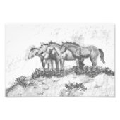 Untamed フォトプリント (正面)