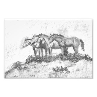 Untamed フォトプリント