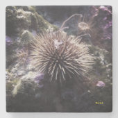 Untersetzer ストーンコースター (正面)