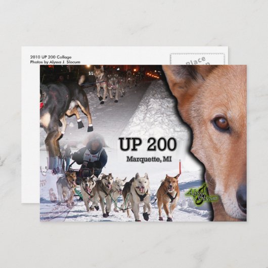 UP 200丁合いはがき ポストカード (正面/裏面)