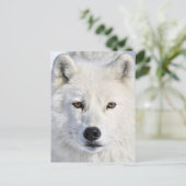 up closeとpersonal.jpg ポストカード (スタンド正面)