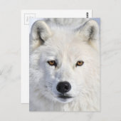 up closeとpersonal.jpg ポストカード (正面/裏面)