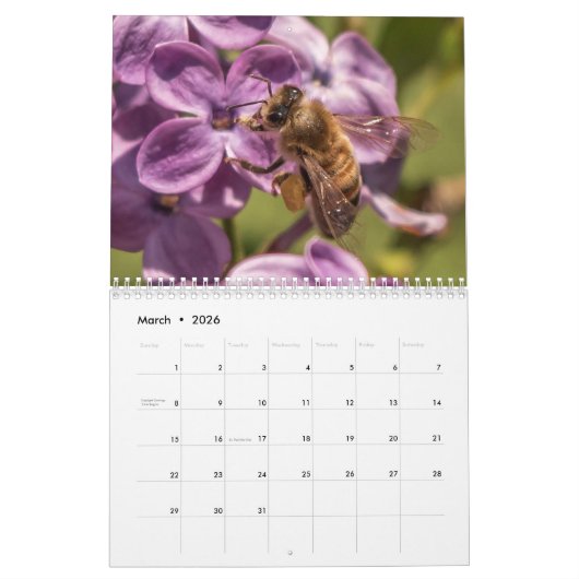 Up CloseとPersonal with the Bees Photo カレンダー (3月 2026)