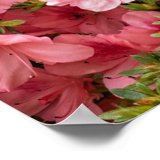 Up Close ポスター (角)