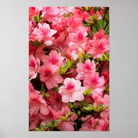 Up Close ポスター (正面)