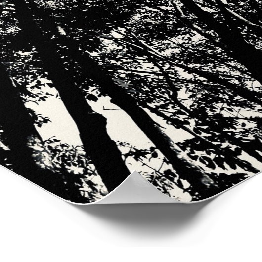 Up Through The Trees, 2018 | SVP Images ポスター (角)