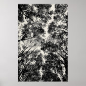 Up Through The Trees, 2018 | SVP Images ポスター (正面)