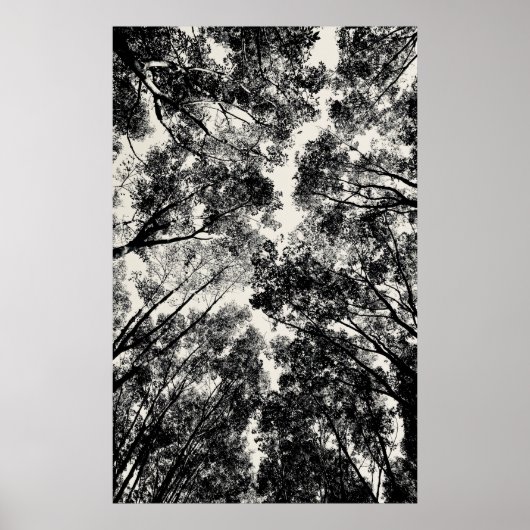 Up Through The Trees, 2018 | SVP Images ポスター (正面)