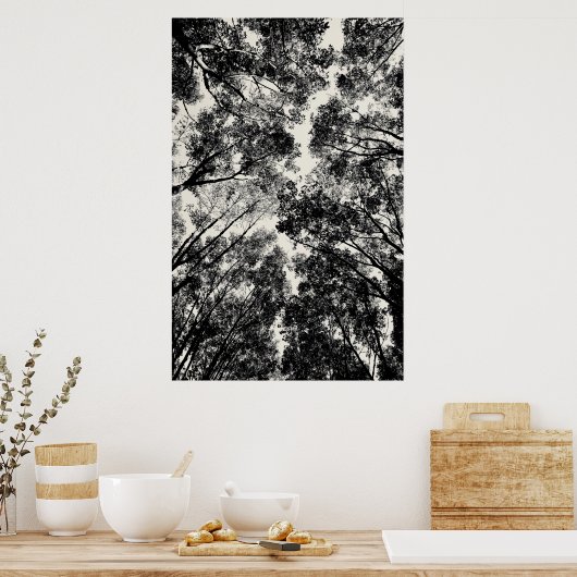 Up Through The Trees, 2018 | SVP Images ポスター (キッチン)