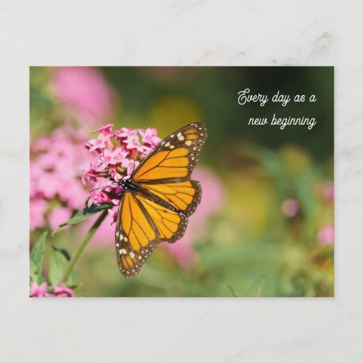 Uplifting and Inspiratational monarch Butterfly ポストカード (正面)
