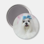 Upload Pet Photo Cute Adorable Dog マグネット (正面/裏面)