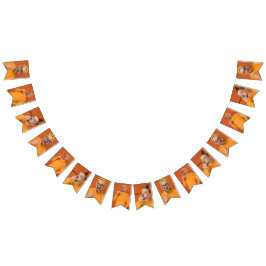 Upload Your Funny Photo Selfie Party  バンティングフラッグ