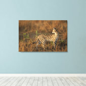 Upper Mara, Masai Mara Game Reserve，ケニア， キャンバスプリント (インサイチュ (ウッドフロア))