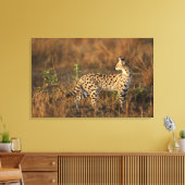 Upper Mara, Masai Mara Game Reserve，ケニア， キャンバスプリント (インサイチュ (リビング))