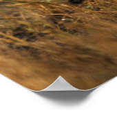 Upper Mara, Masai Mara Game Reserve，ケニア， ポスター (角)