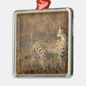 Upper Mara, Masai Mara Game Reserve，ケニア， メタルオーナメント (左)