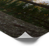 Upper Tahquamenon滝，秋，ミシガン ポスター (角)