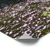 Upper Tahquamenon秋、ミシガン州ポスター ポスター (角)