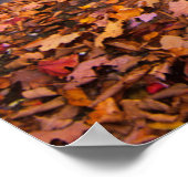 Upper Whiteoak Falls, Shenandoah National Park, VA ポスター (角)