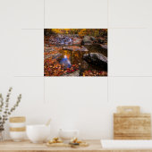 Upper Whiteoak Falls, Shenandoah National Park, VA ポスター (キッチン)