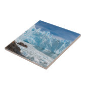 Upsalaの氷河 タイル (側面)