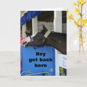 『UPSET COMEDIC HORSE SAYS **ハッピーバースデー**』 カード (黄色い花)