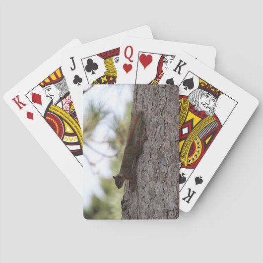 Upside Down Squirrel Playing Cards トランプ (裏面)