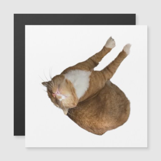 Upside-Down Sunshine (正面/裏面)