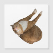 Upside-Down Sunshine (正面)