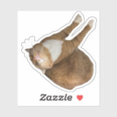 Upside-Down Sunshine シール (シート)