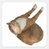 Upside-Down Sunshine スクエアシール (正面)