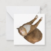 Upside-Down Sunshine ノートカード (正面)