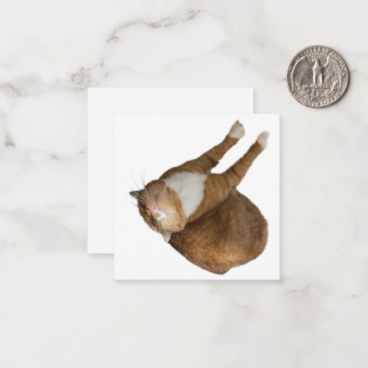 Upside-Down Sunshine ノートカード (正面/裏面インサイチュ)