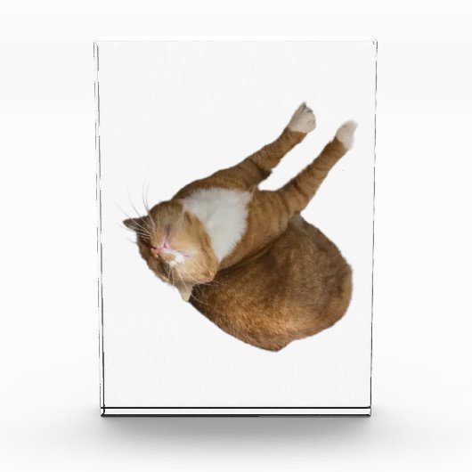 Upside-Down Sunshine フォトブロック (正面)