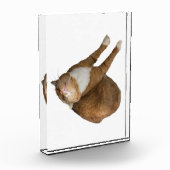 Upside-Down Sunshine フォトブロック (左)