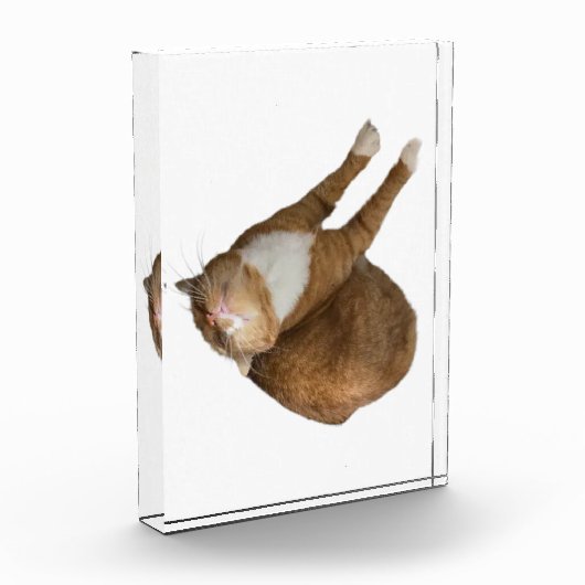 Upside-Down Sunshine フォトブロック (左)