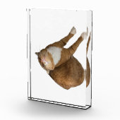 Upside-Down Sunshine フォトブロック (右)