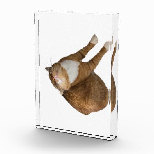 Upside-Down Sunshine フォトブロック (右)