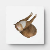 Upside-Down Sunshine フォトプラーク (正面)