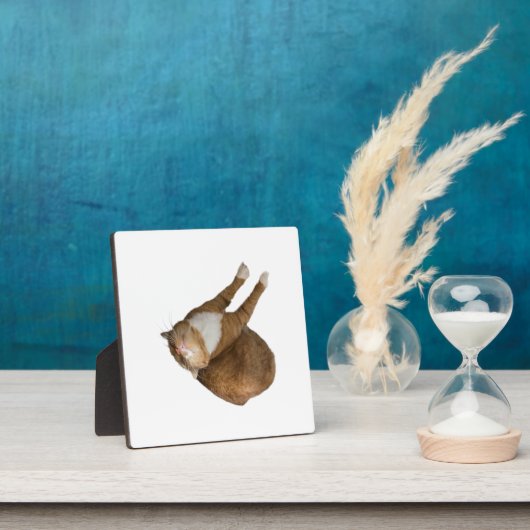 Upside-Down Sunshine フォトプラーク (インサイチュ)