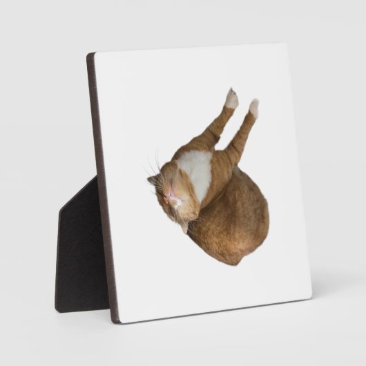 Upside-Down Sunshine フォトプラーク (正面)