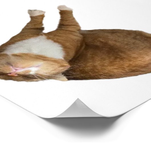 Upside-Down Sunshine ポスター (角)