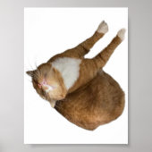 Upside-Down Sunshine ポスター (正面)