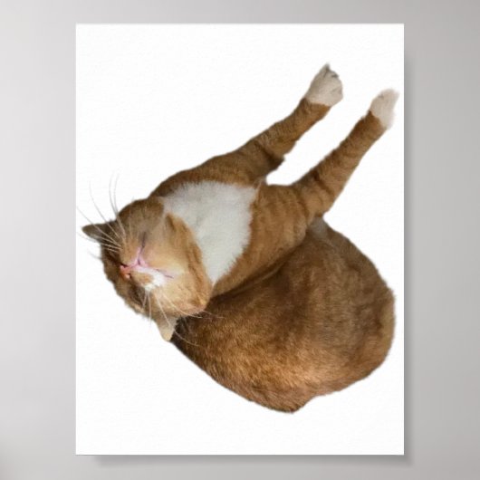 Upside-Down Sunshine ポスター (正面)