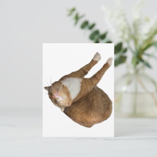 Upside-Down Sunshine ポストカード (スタンド正面)