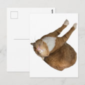 Upside-Down Sunshine ポストカード (正面/裏面)