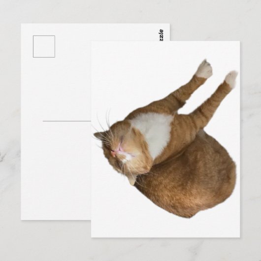 Upside-Down Sunshine ポストカード (正面/裏面)