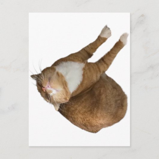 Upside-Down Sunshine ポストカード (正面)